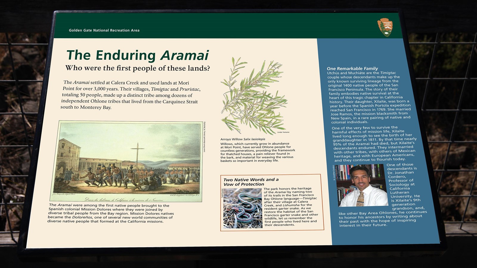 An exhibit Panel with the title The Enduring Aramai.