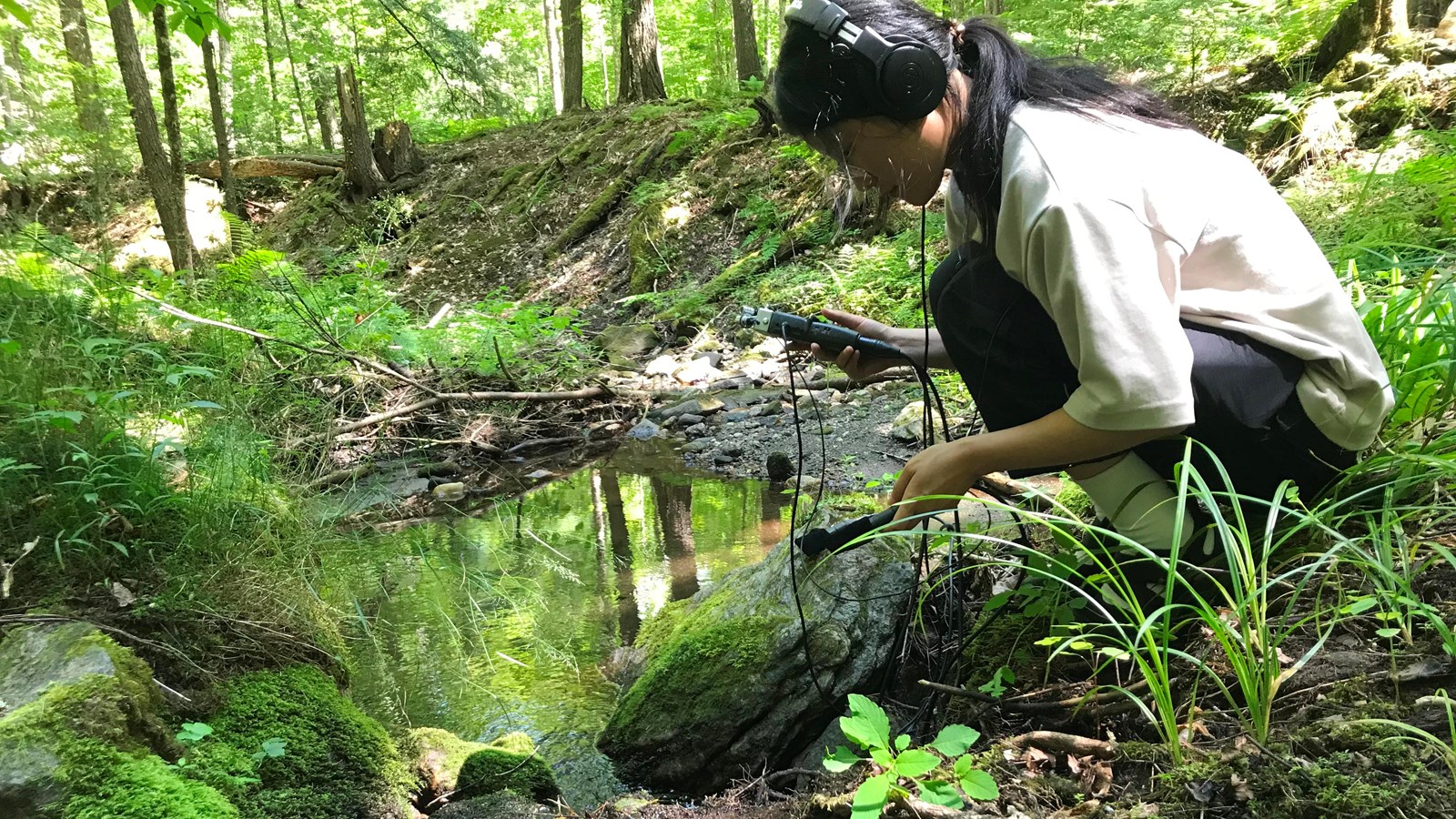 sound artist wearing headphones kneels next to mossy brook with microphones