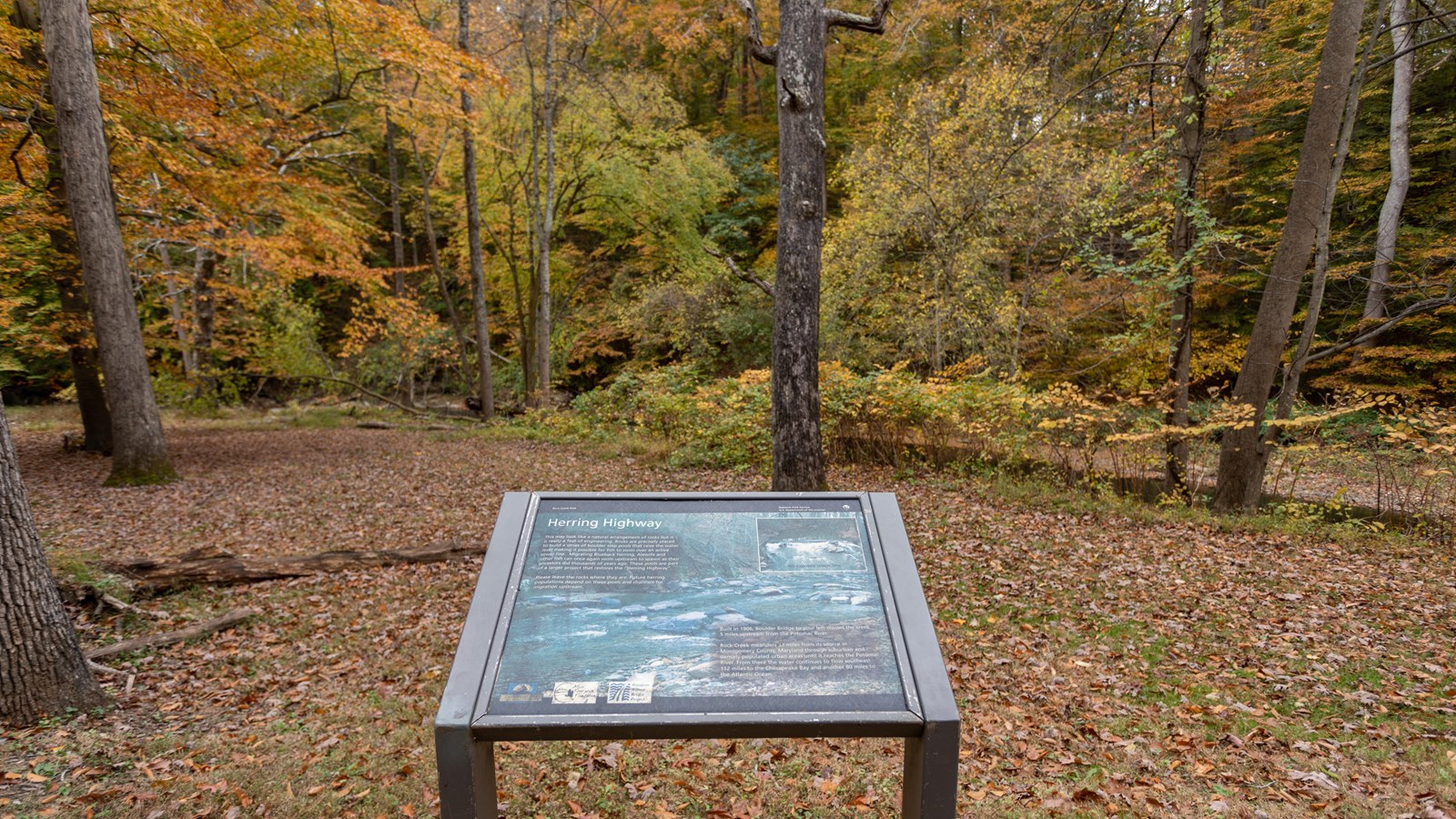 An informational panel in front of a forest.