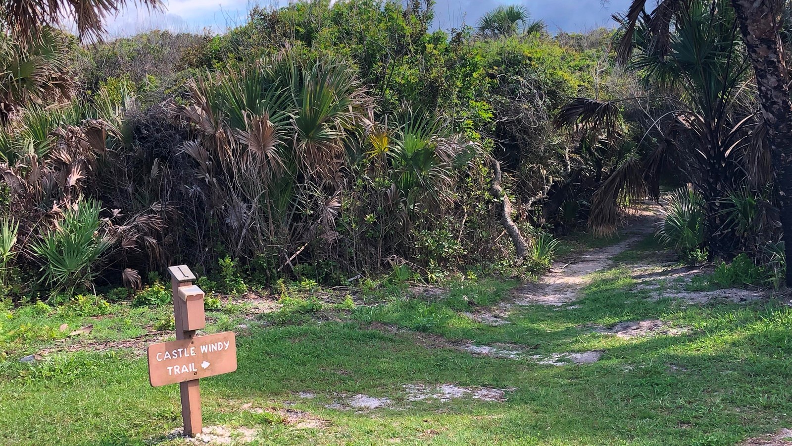The entrance to the castle windy trail has a brown brochure stand to the left and green plants life.