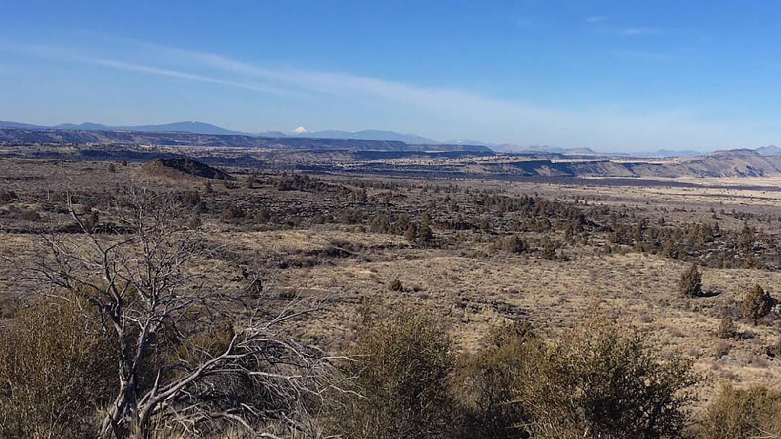 Schonchin Butte Trail