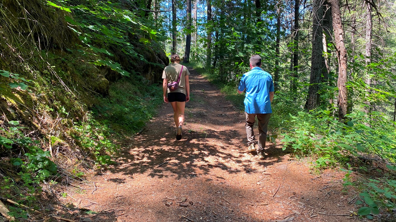 Two people, their backs to the camera, walk along a shady, narrow dirt lane through tall trees. 