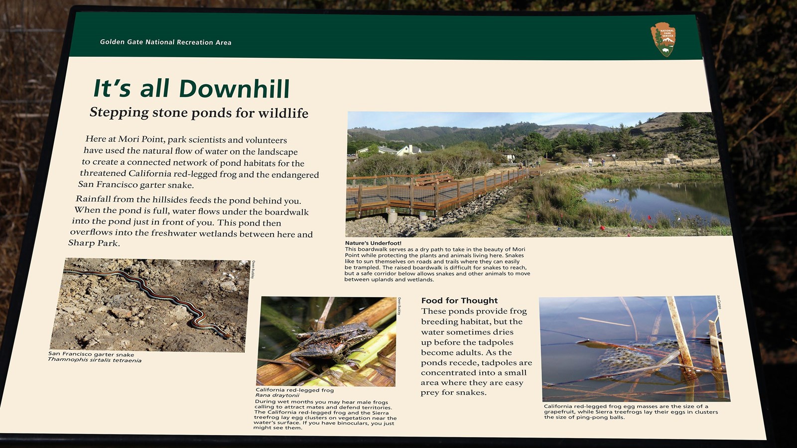 An exhibit with photos and text. Both are described in the main text.