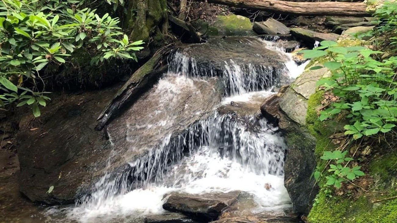 Gully Creek cascades down a series of large rocks flanked by foliage.