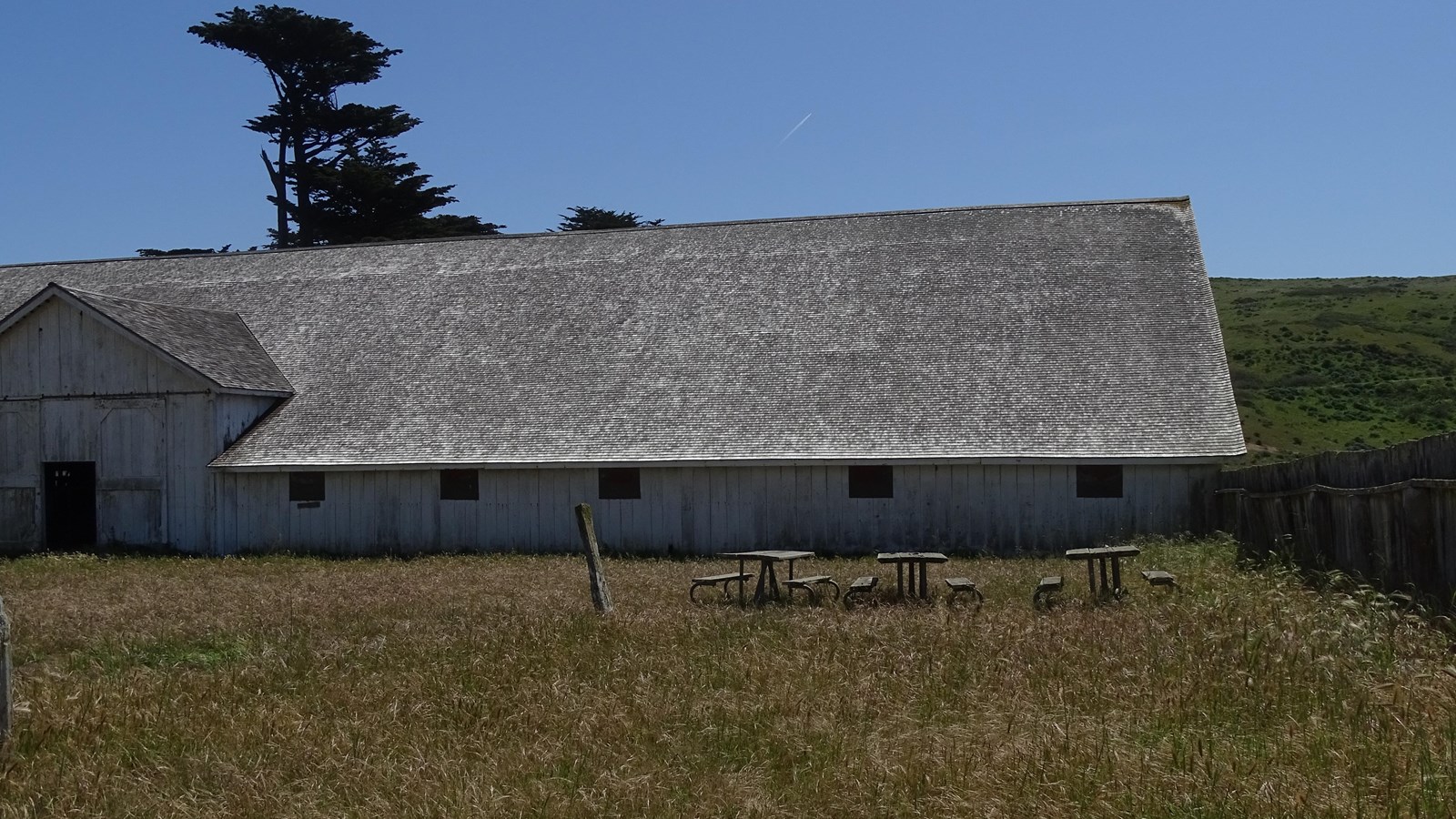 Three picnic tables adjacent to a large white-sided barn surrounded by one-foot-tall grass.
