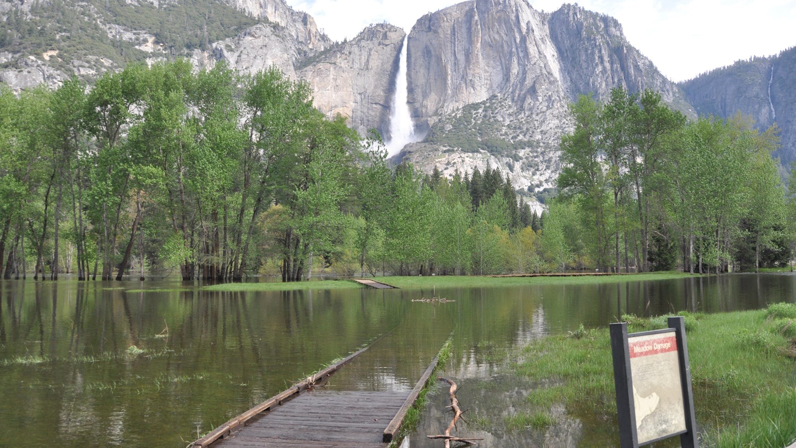 View of over full Merced River, a boardwalk covered in water, and Yosemite Falls.