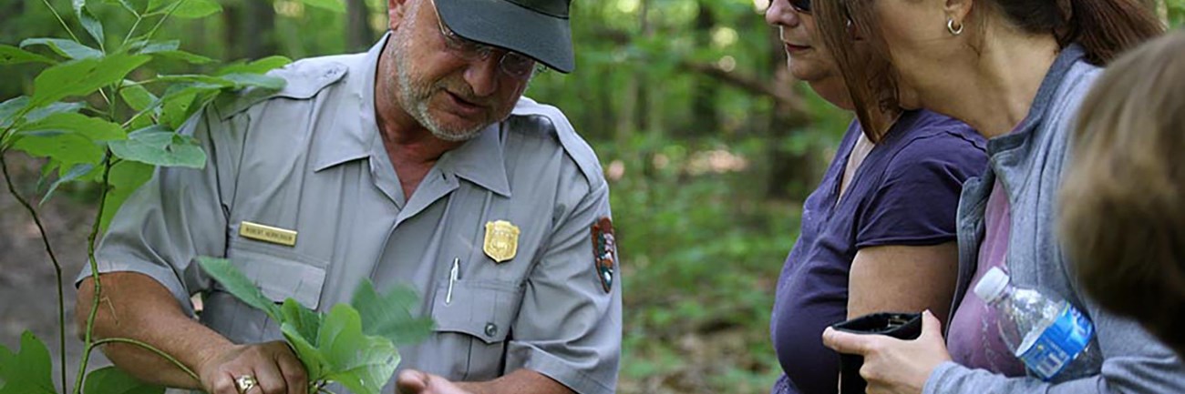 A park ranger and two people examine a leave in the woods.