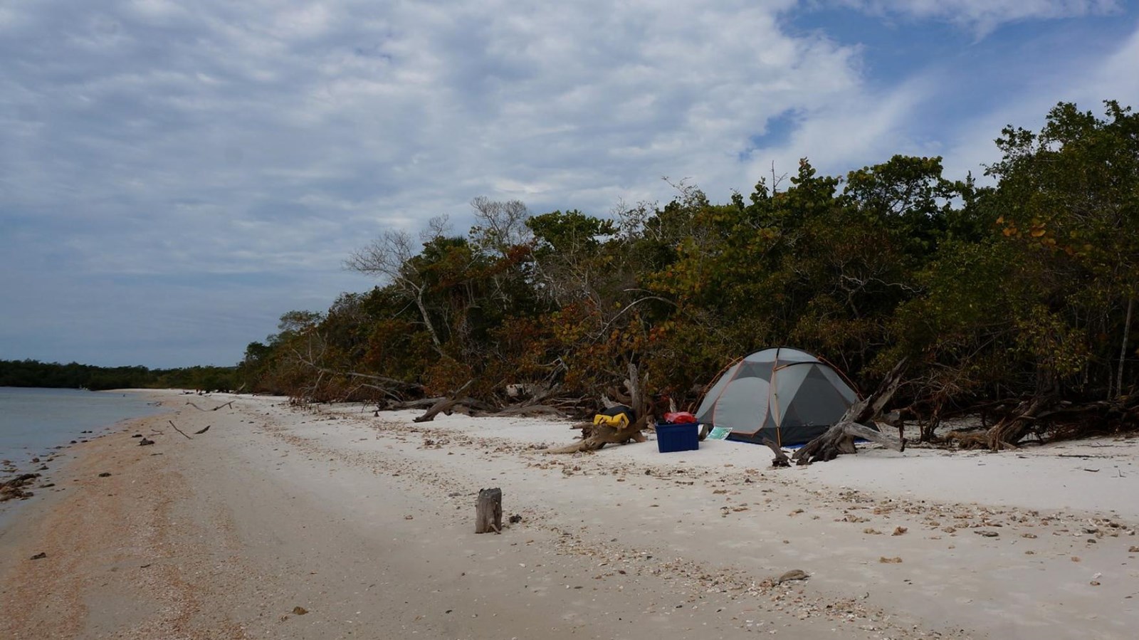A gray tent is set up on a white sandy beach with green wide leafed sea grape trees behind it