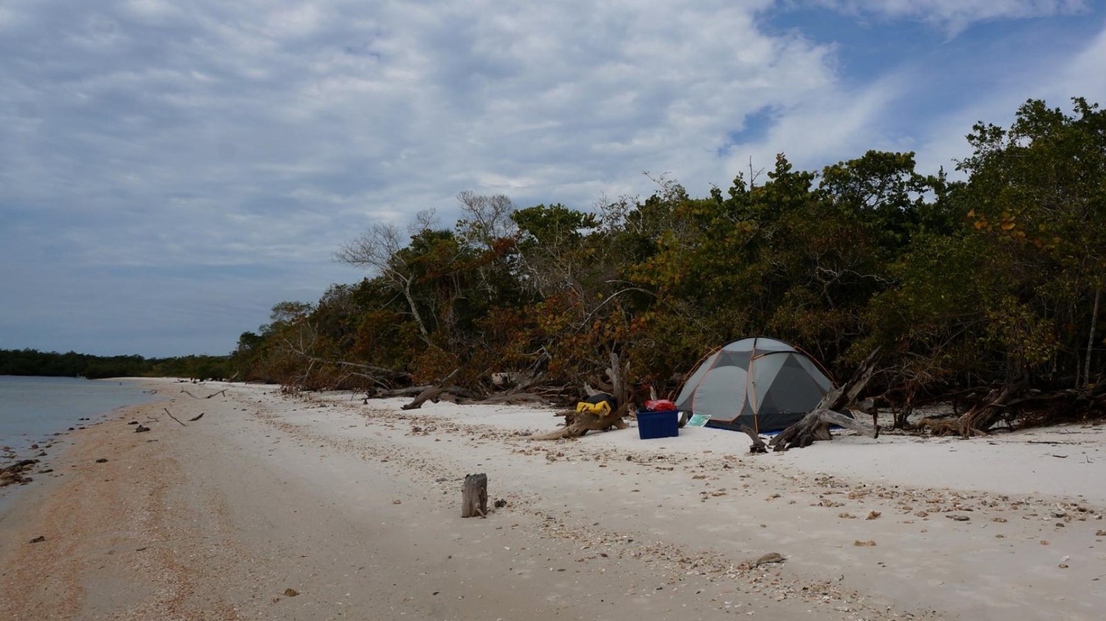 A gray tent is set up on a white sandy beach with green wide leafed sea grape trees behind it