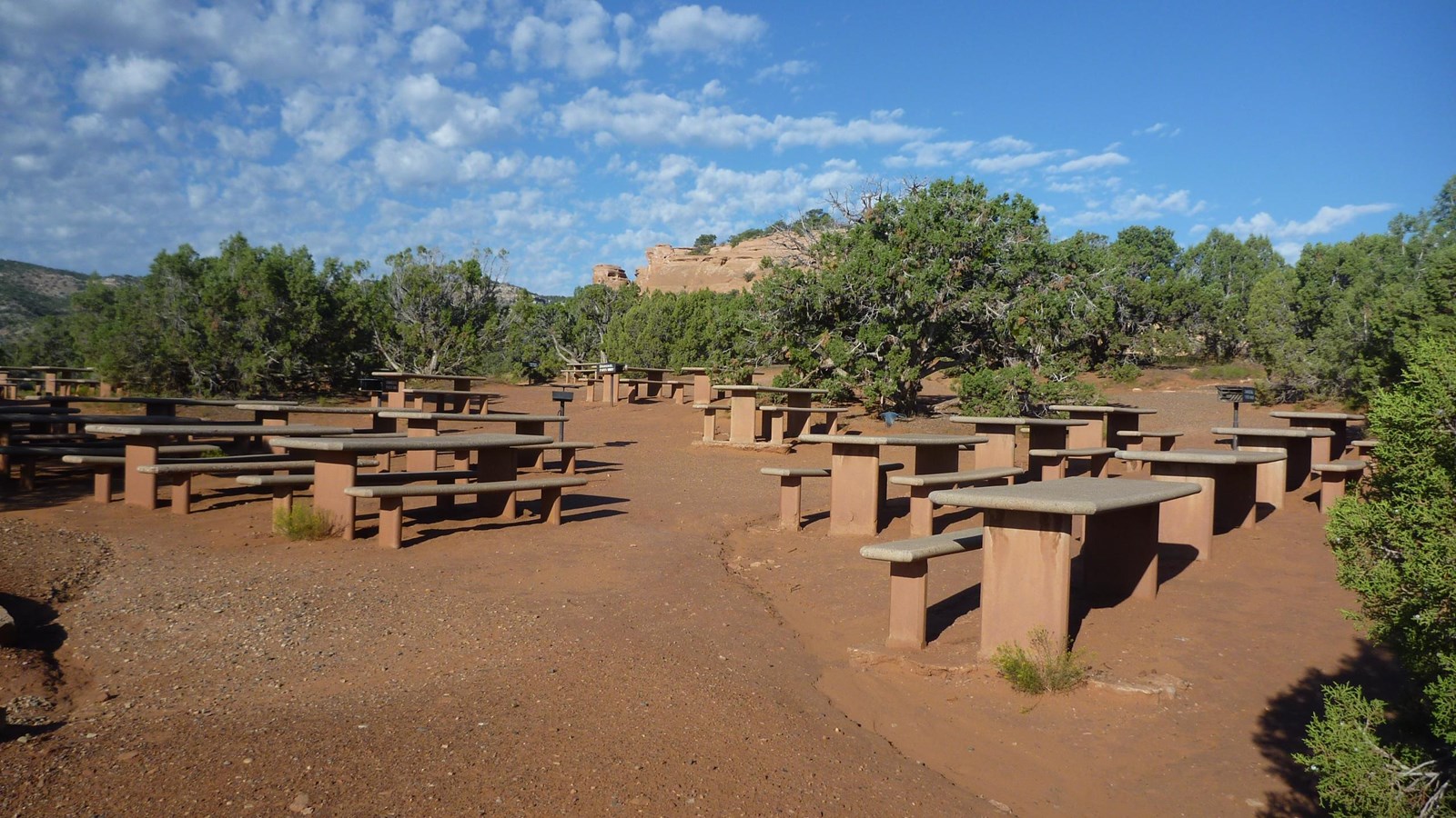 Cement picnic tables with benches are interspersed on rusty colored sand, among green desert trees.