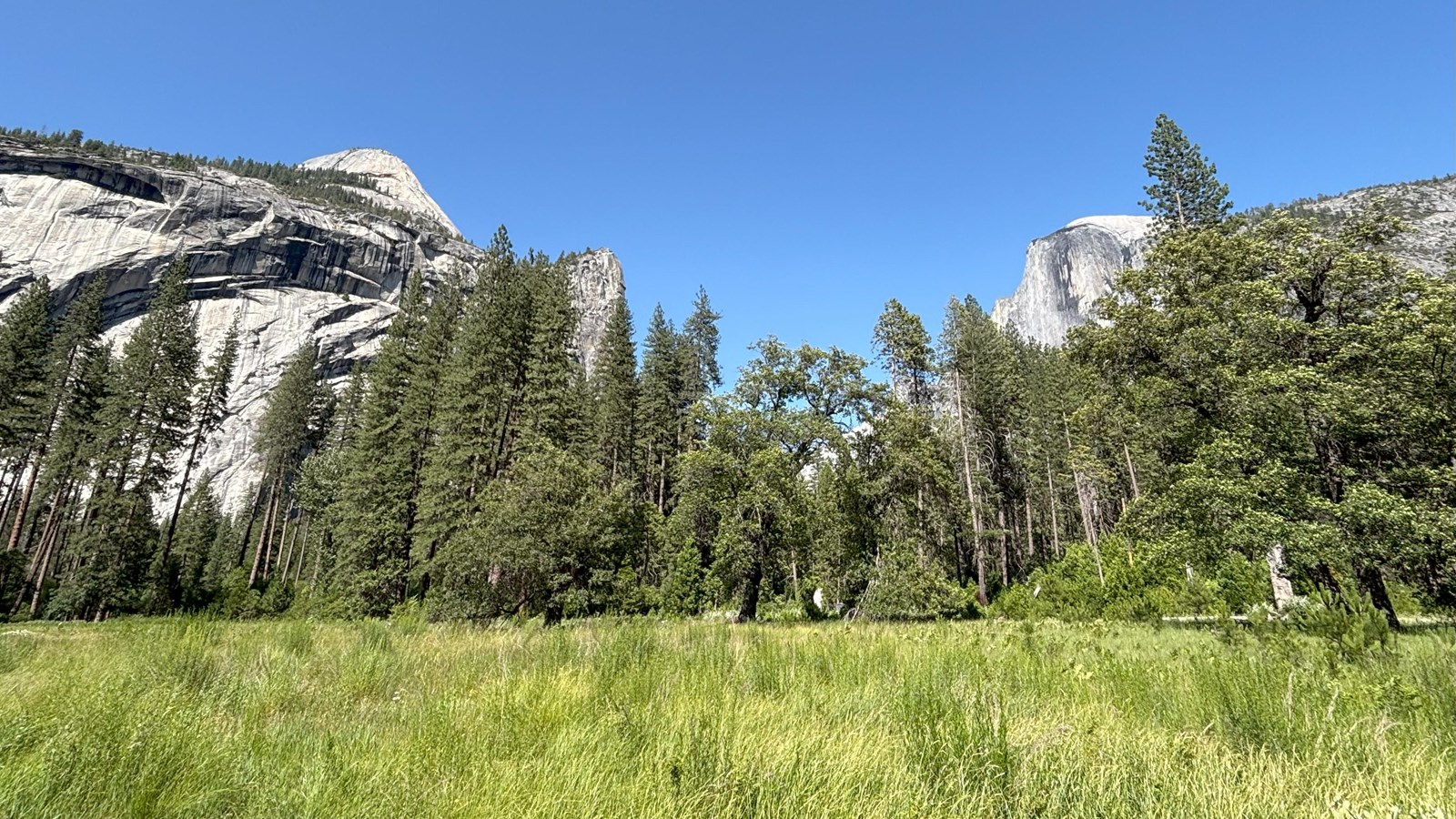 A grassy, open area with granite cliffs above