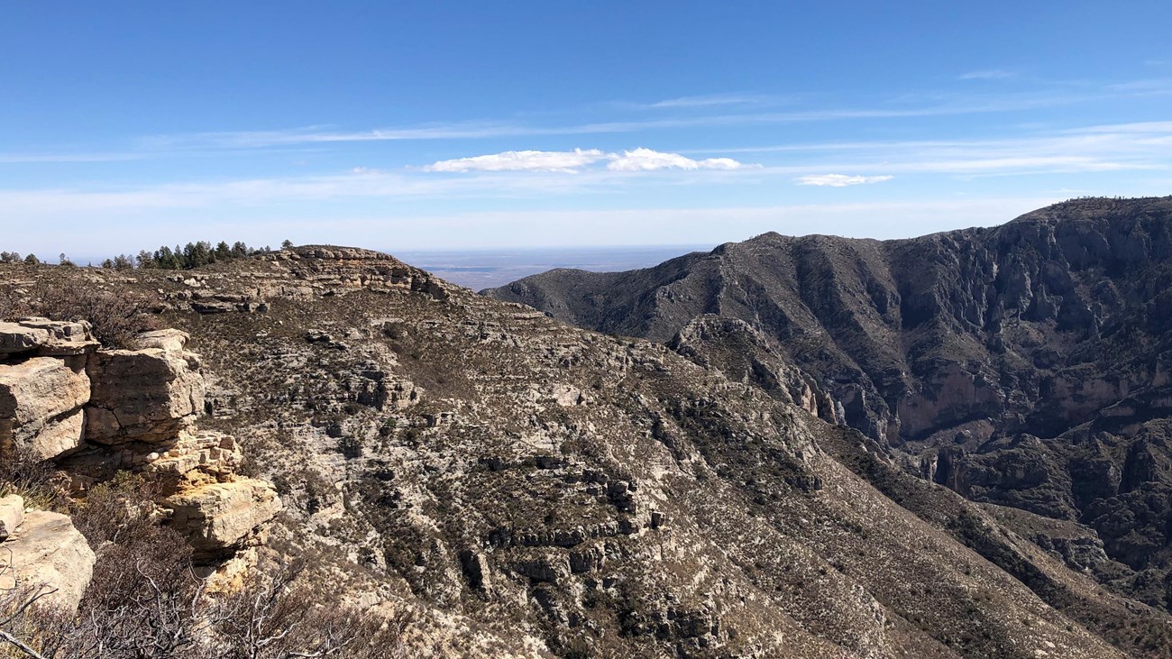 A mountainous ridge with trees and rocks looms in the distance