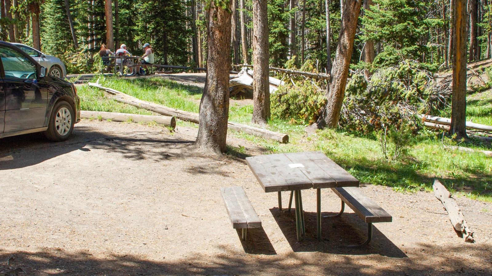 Picnic table in wooded area