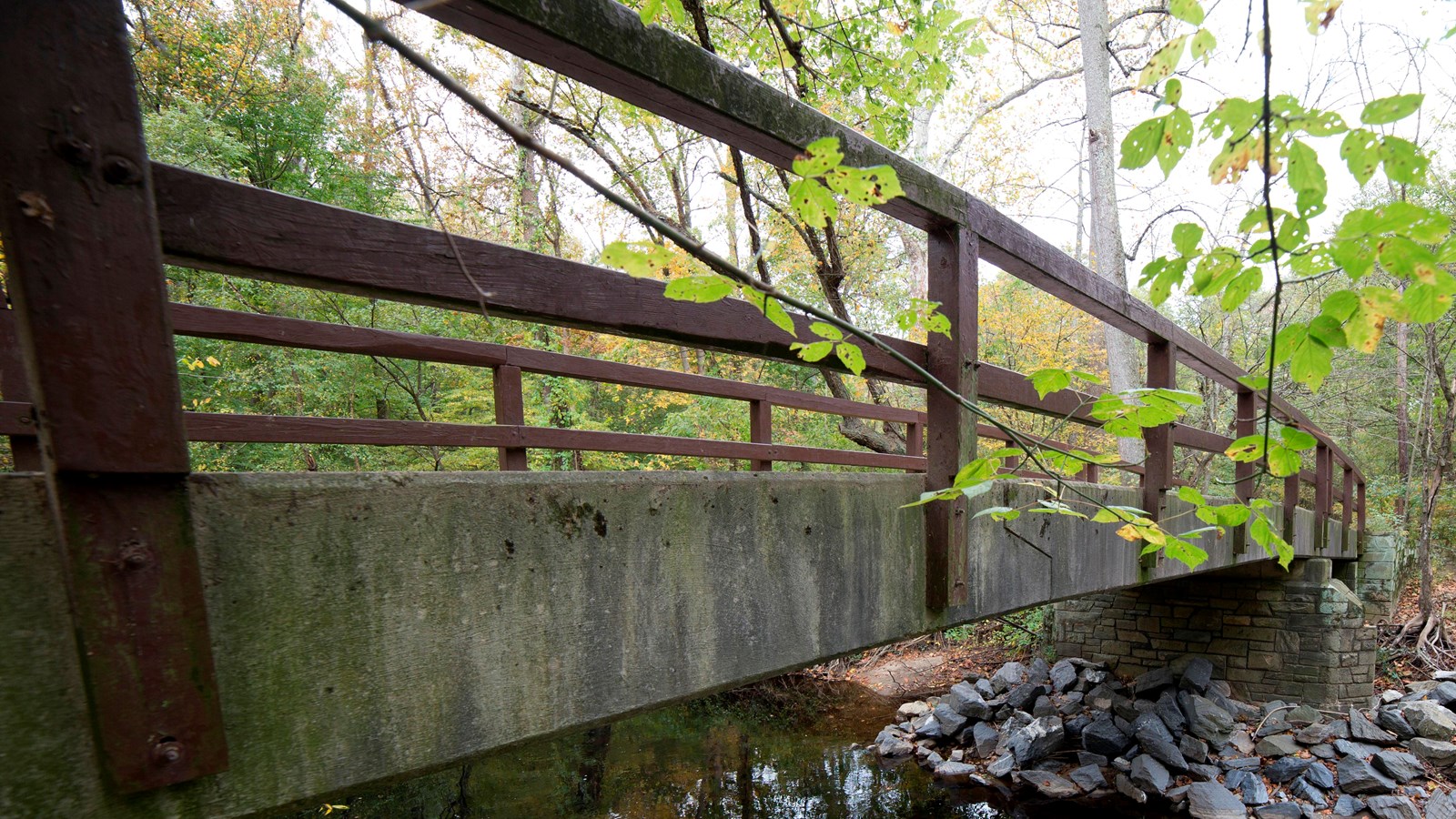 A concrete bridge with wooden railings crosses a creek.  