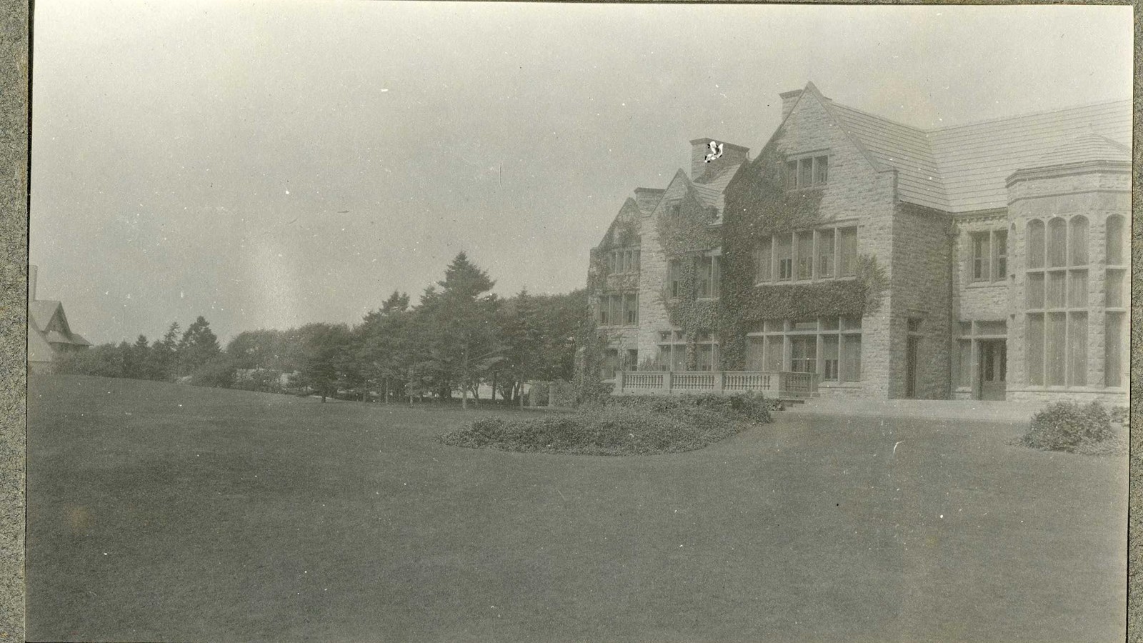 Black and white of large home with vines crawling up it in front of grass with trees in a line