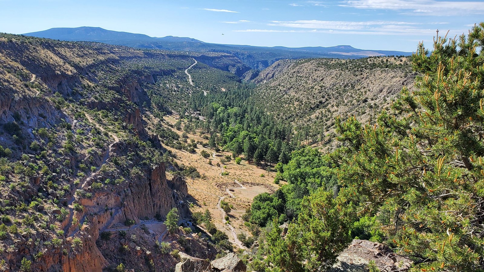 a wide canyon with sparsely vegetated cliffs and remnants of Ancestral Pueblo dwellings