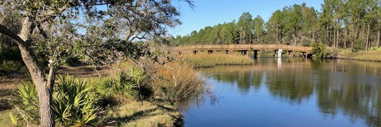 a wooden bridge in the distance over a navy blue river with tree in the left forground