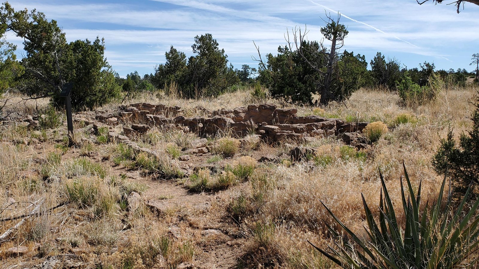 the low walls that remain from a stone dwelling can be seen among the brown grasses and green trees.