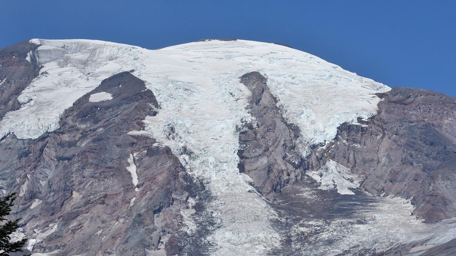 Two glaciers that share a common terminus on the southeast slope of Mount Rainier