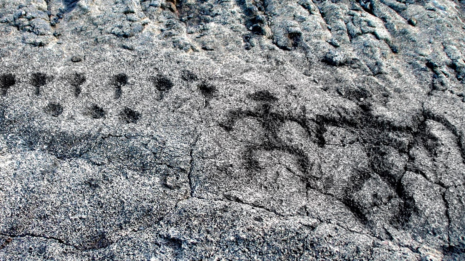 Cupules or small depressions in lava rock. 