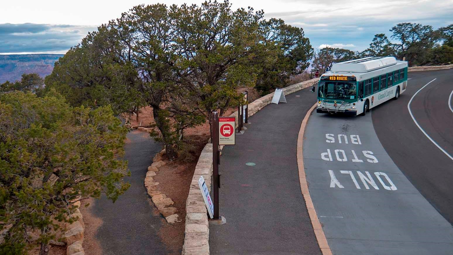 a green and white bus pulling into a bus stop. a large tree is between the bus stop and a paved path