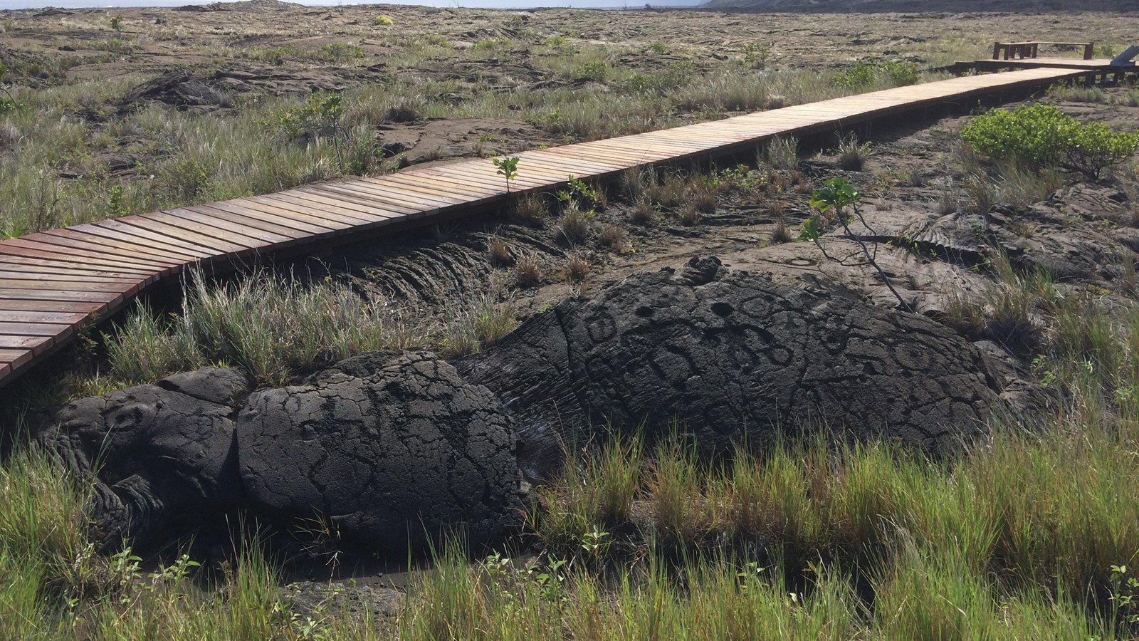 Boardwalk trail next to petroglyphs.