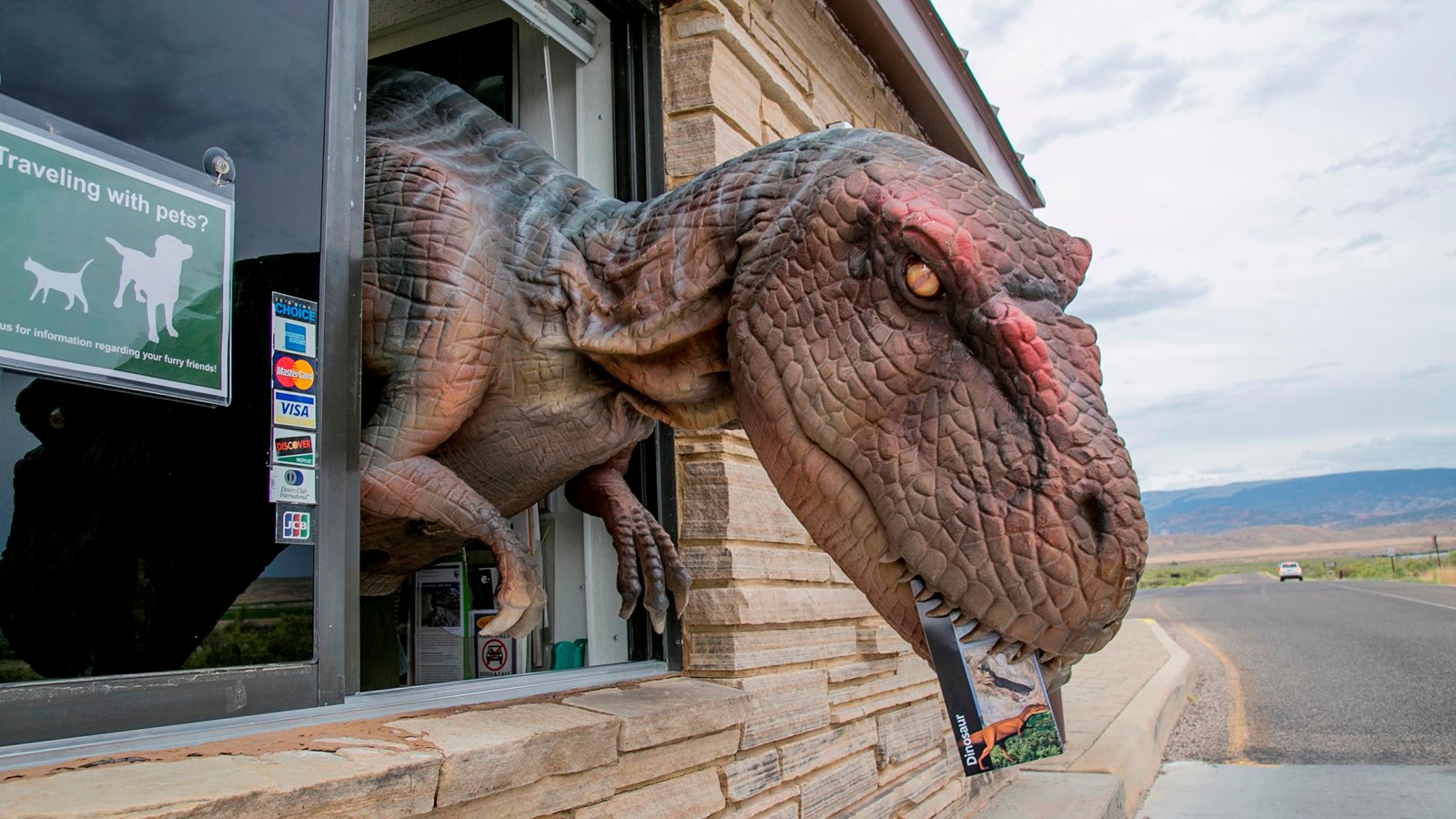 A dinosaur with its head out the window