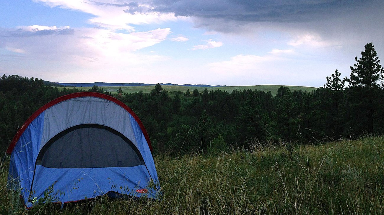 a tent in a prairie overlooking the forest