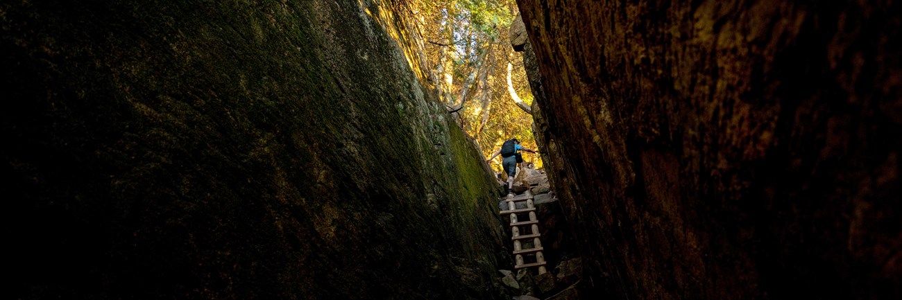 Hiker ascends a wooden ladder in a ravine