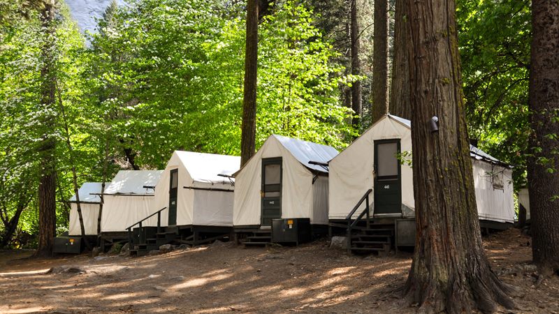 Canvas tent cabins among the trees at Curry Village