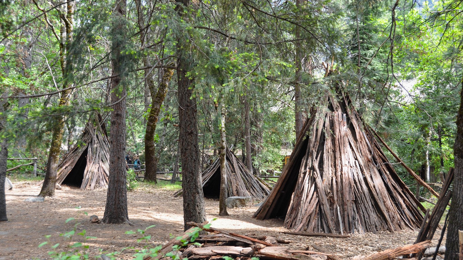 Reconstructed bark houses within the Indian Village