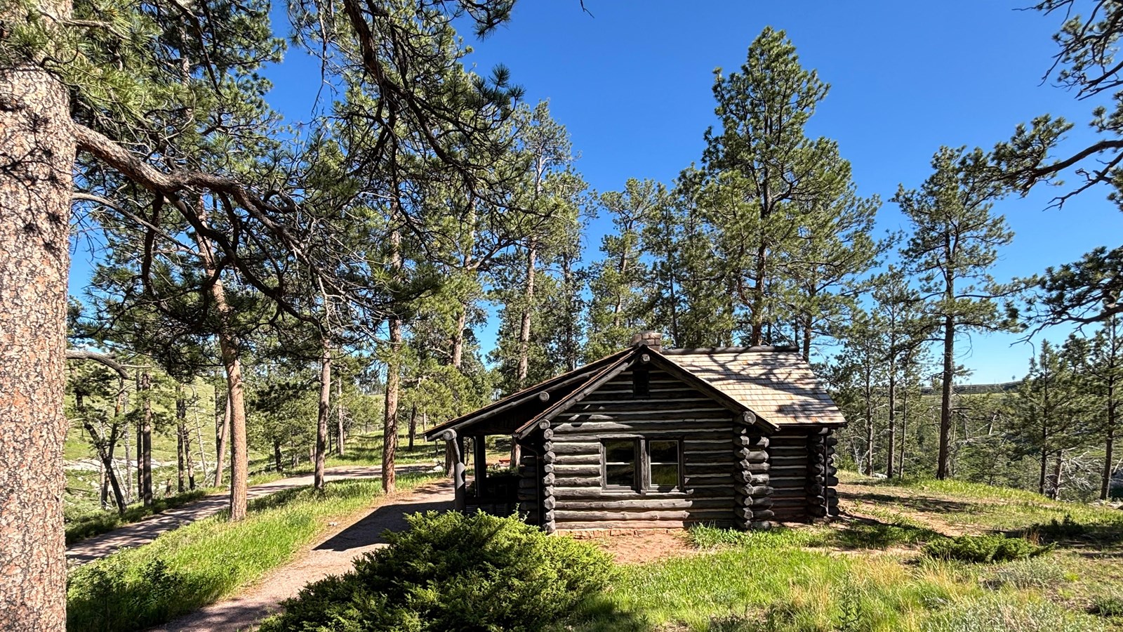 A small log cabin with pine trees in the background. 