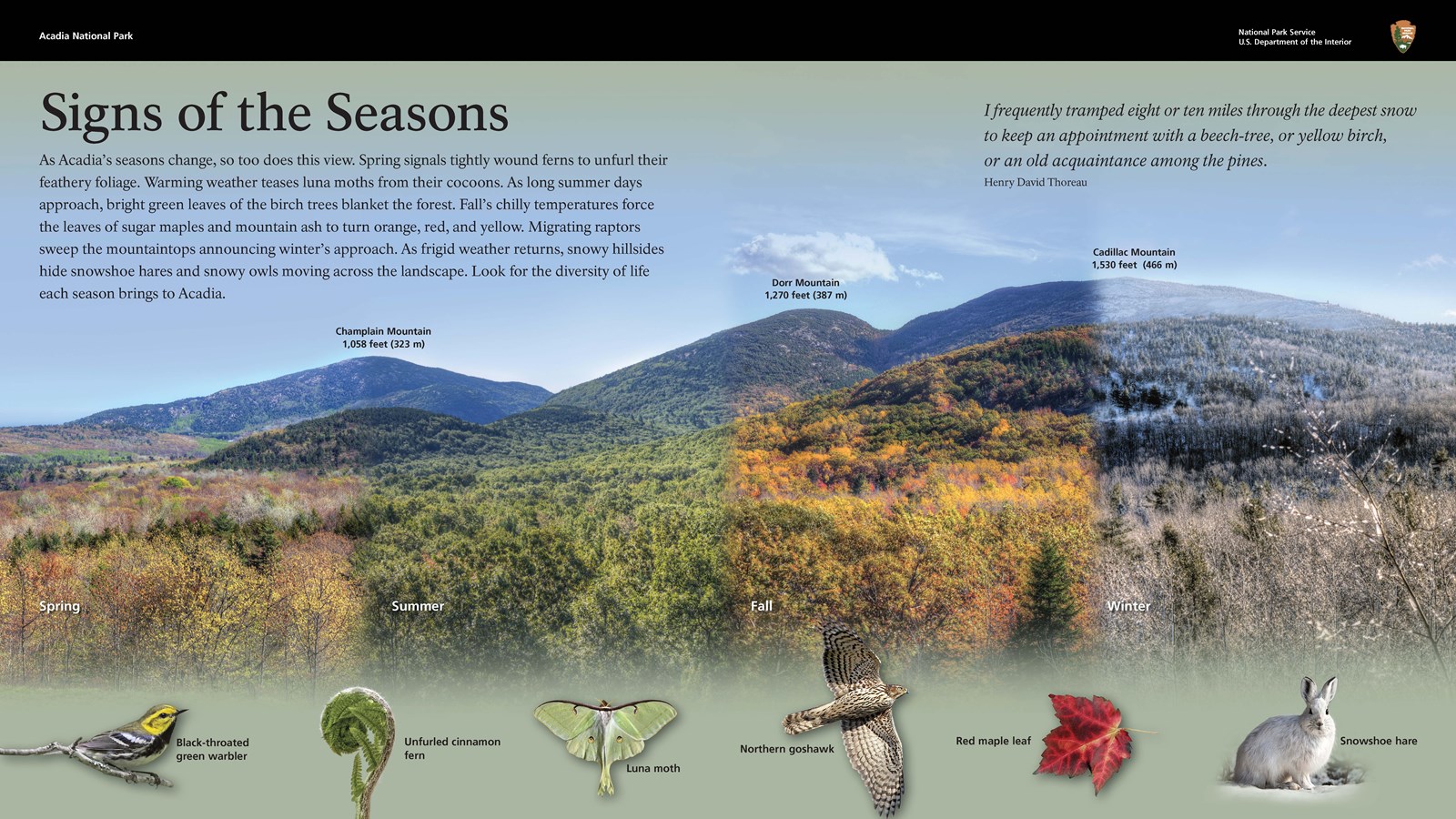 Image of an interpretive wayside entitled 
