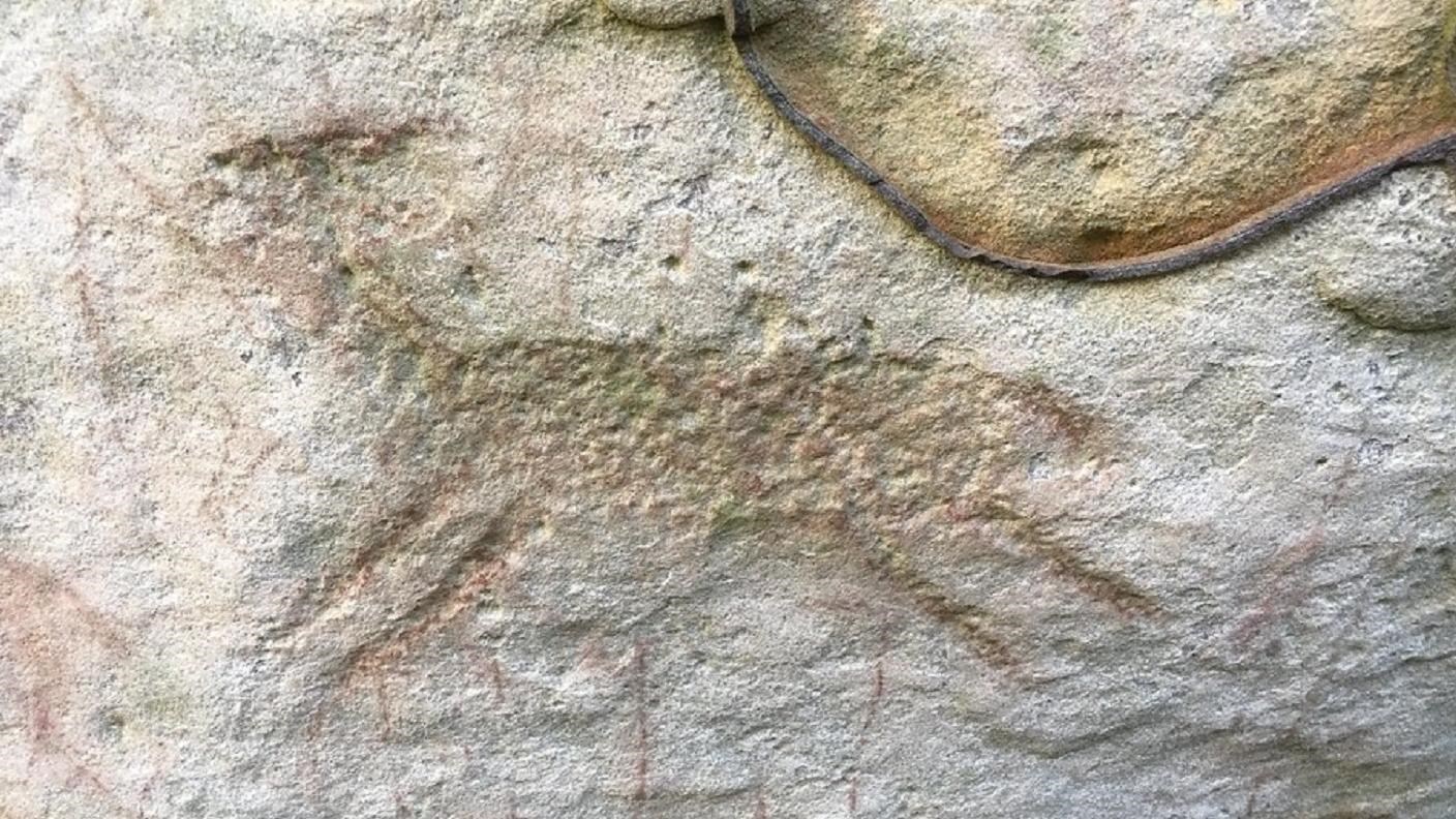A petroglyph of a deer carved into a cliff face 