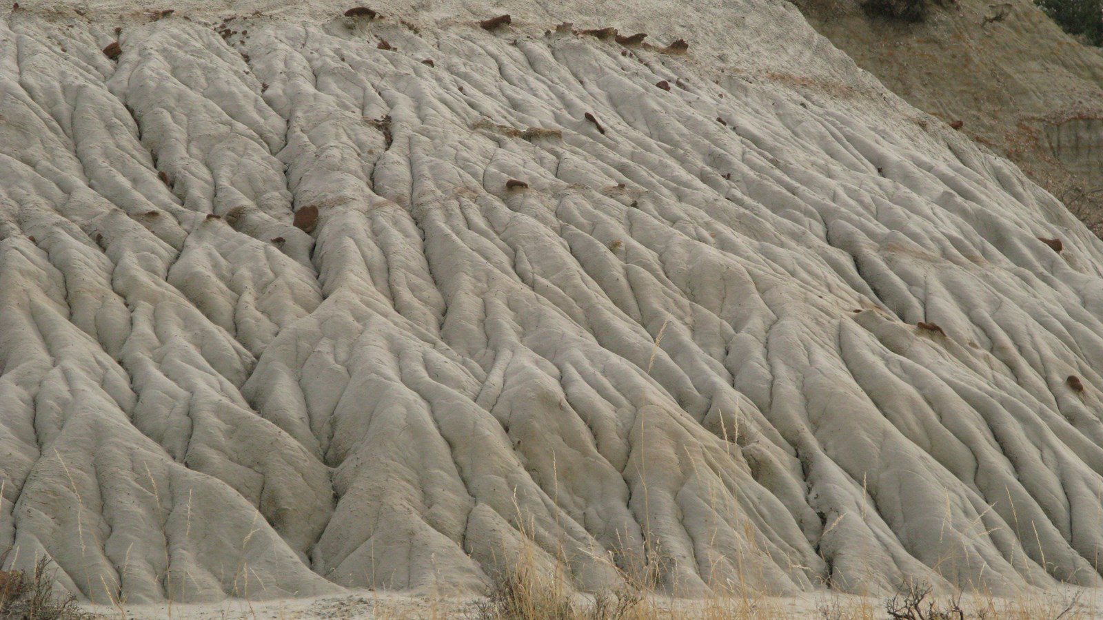 Sedimentary rock with river like channels carved into it by erosion