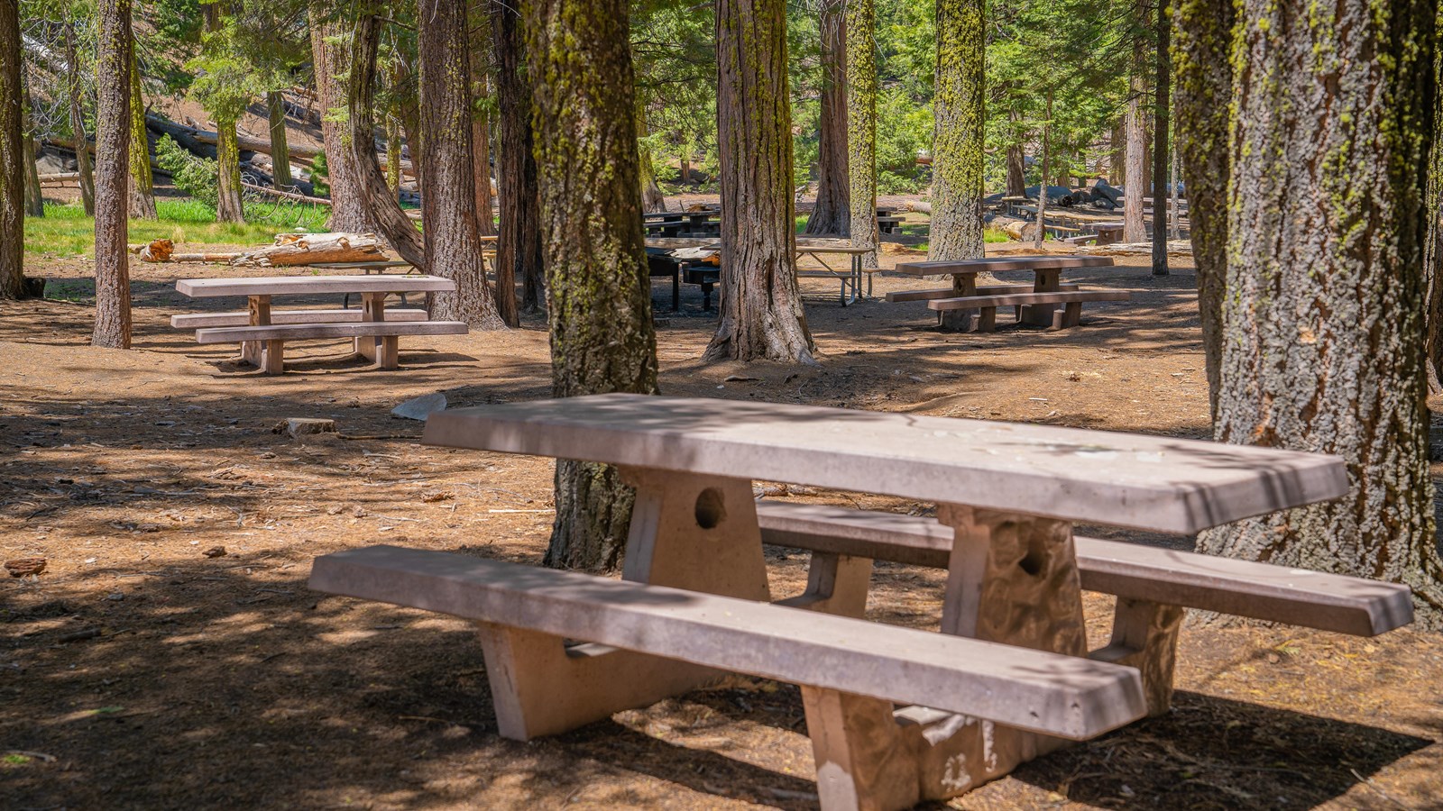 Columbine Picnic Area and Snowplay Area