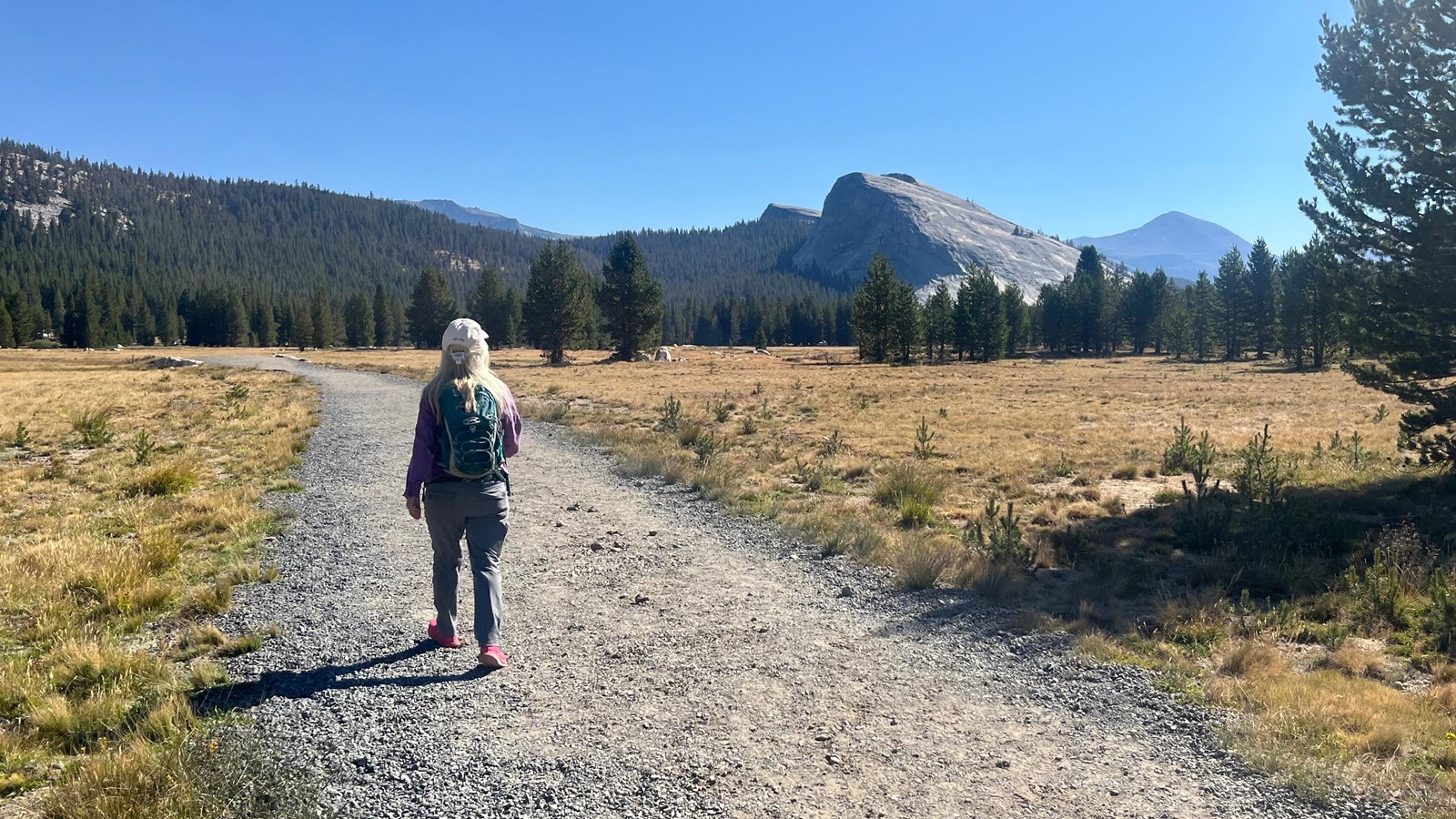 A hiker along a gravel path through a meadow with domes in the distance