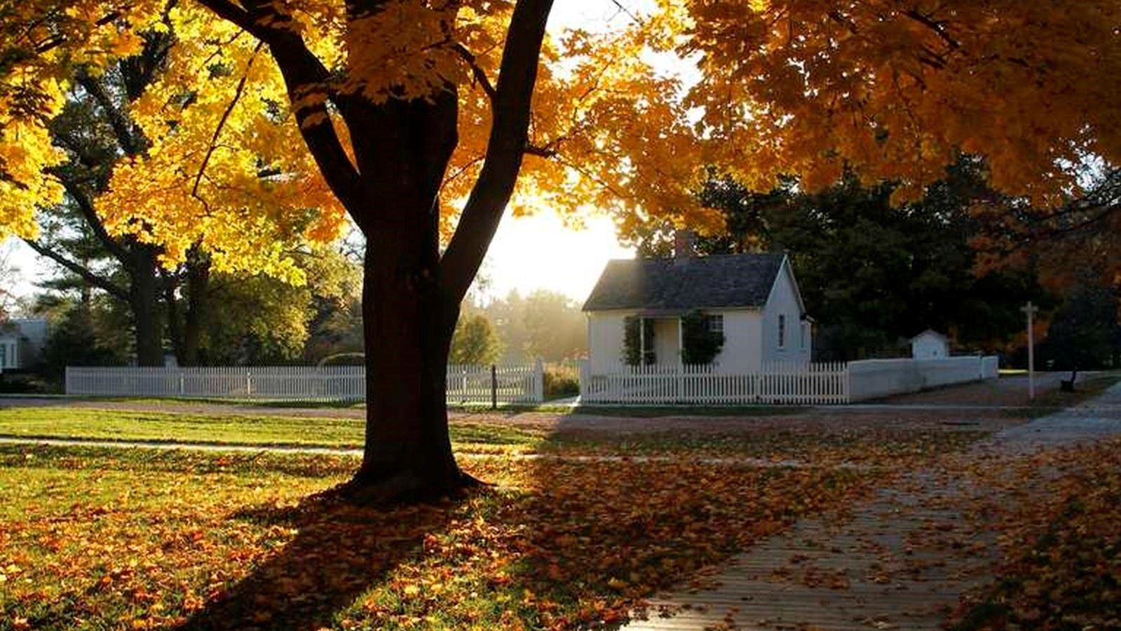 A wooden boardwalk leads through fall foliage to small white historic cottage. 