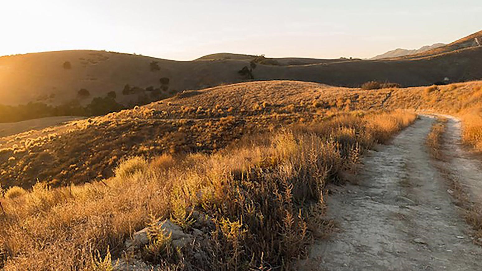 Trail view of rolling hills covered in gold vegetation at sunset.
