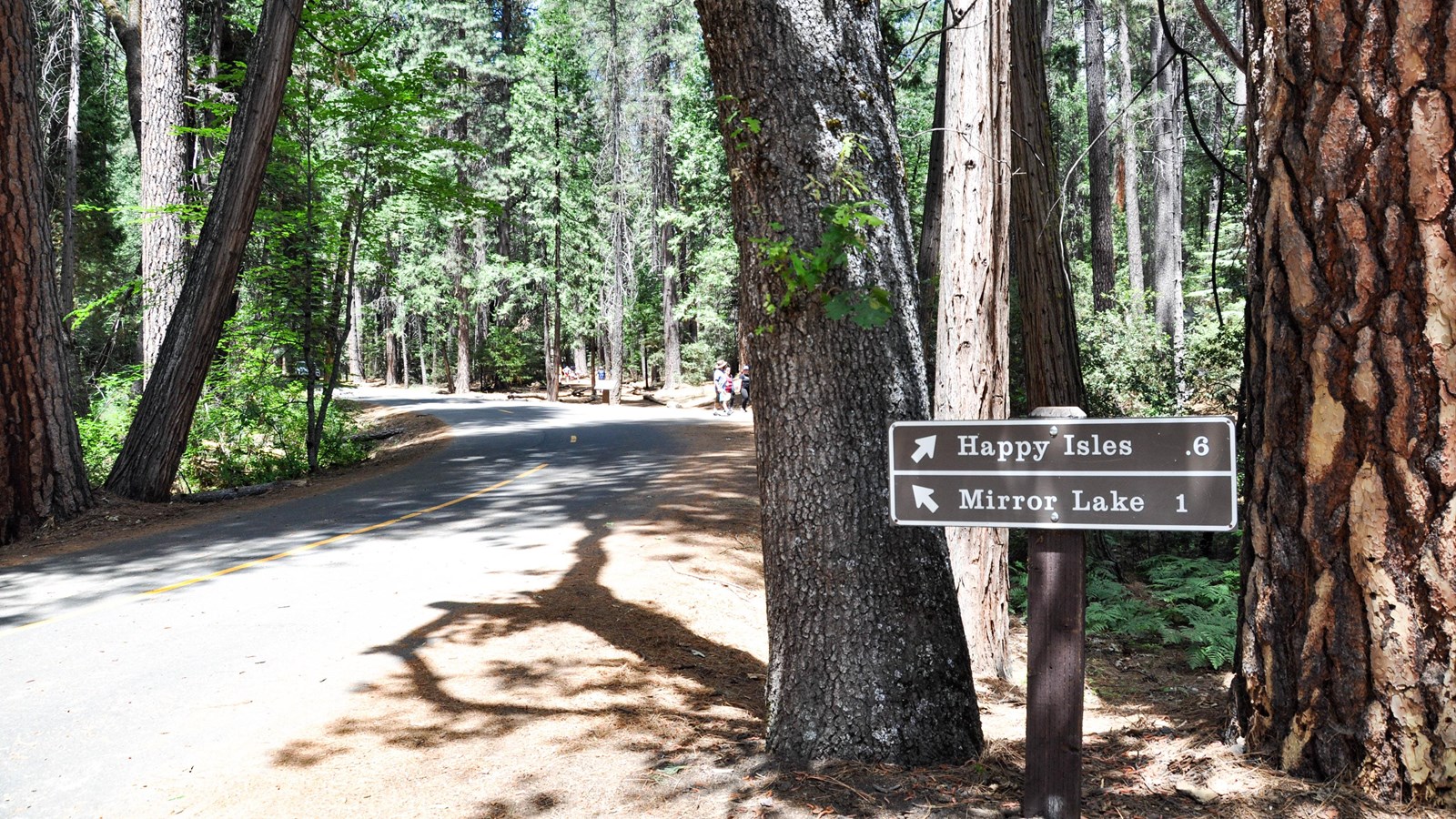 Signs and service road at Mirror Lake Trailhead
