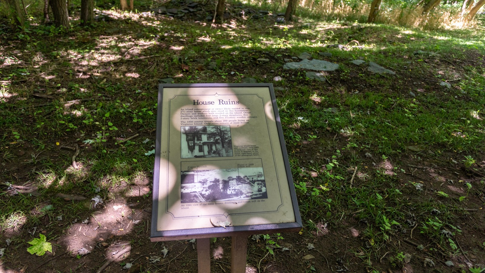 A informational panel in front of a grassy field in the woods.