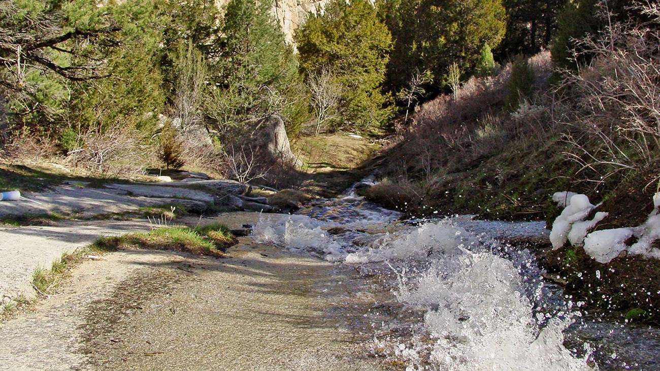 A creek cascades wildly down a granite slab.