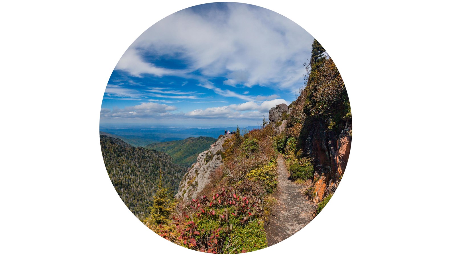 A sweeping mountain view off a trail with shrubs and rocks around the path.