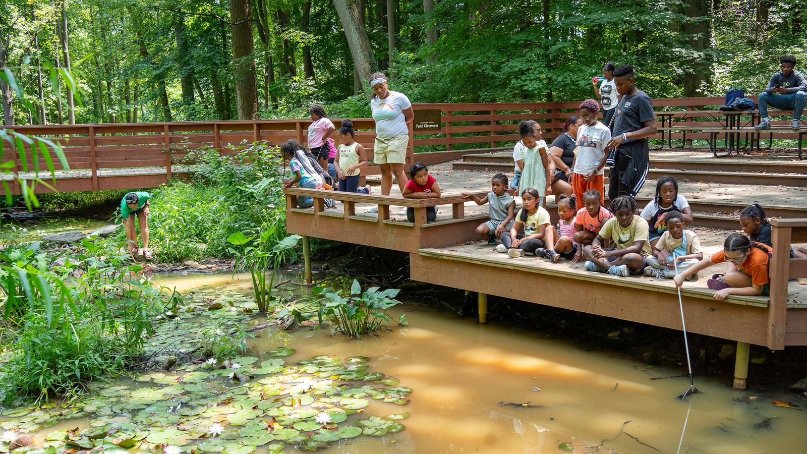Children and adults on a wooden platform by a pond with lily pads at Woodend Nature Sanctuary.