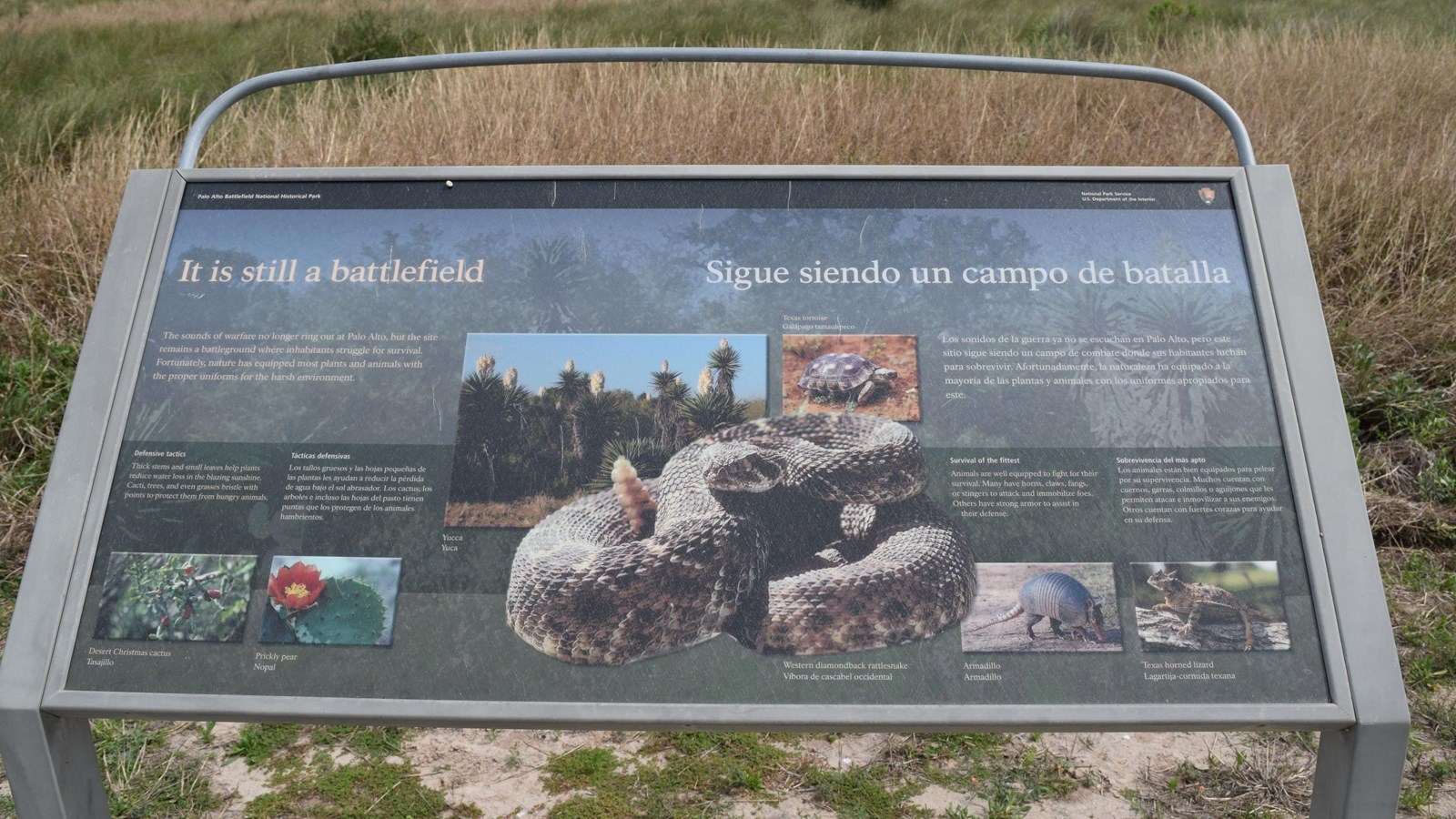 A low-profile cantilever wayside base in grey weathering steel for a 36”x 24” interpretation panel