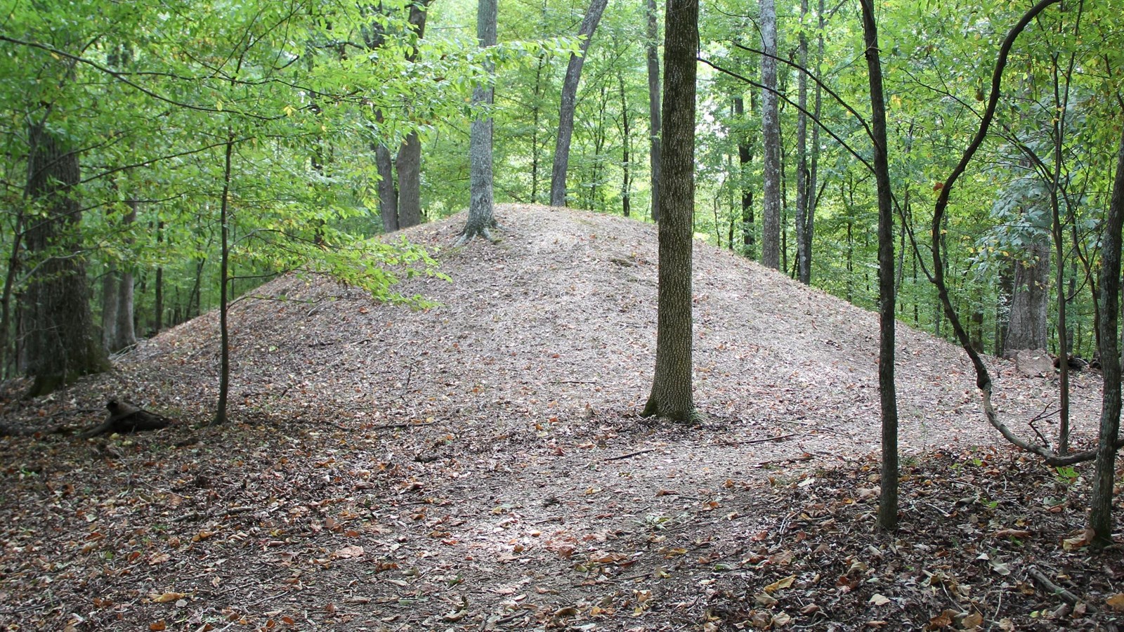 A dome shaped mound covered in grass.