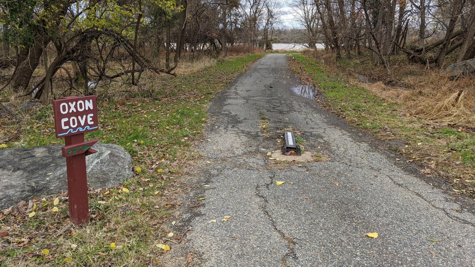 Photo of the trailhead, paved roadway through the trees to the water in the background.