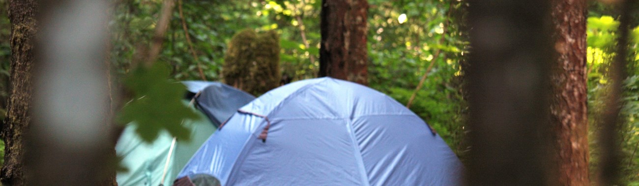 a blue tent at a wooded campsite