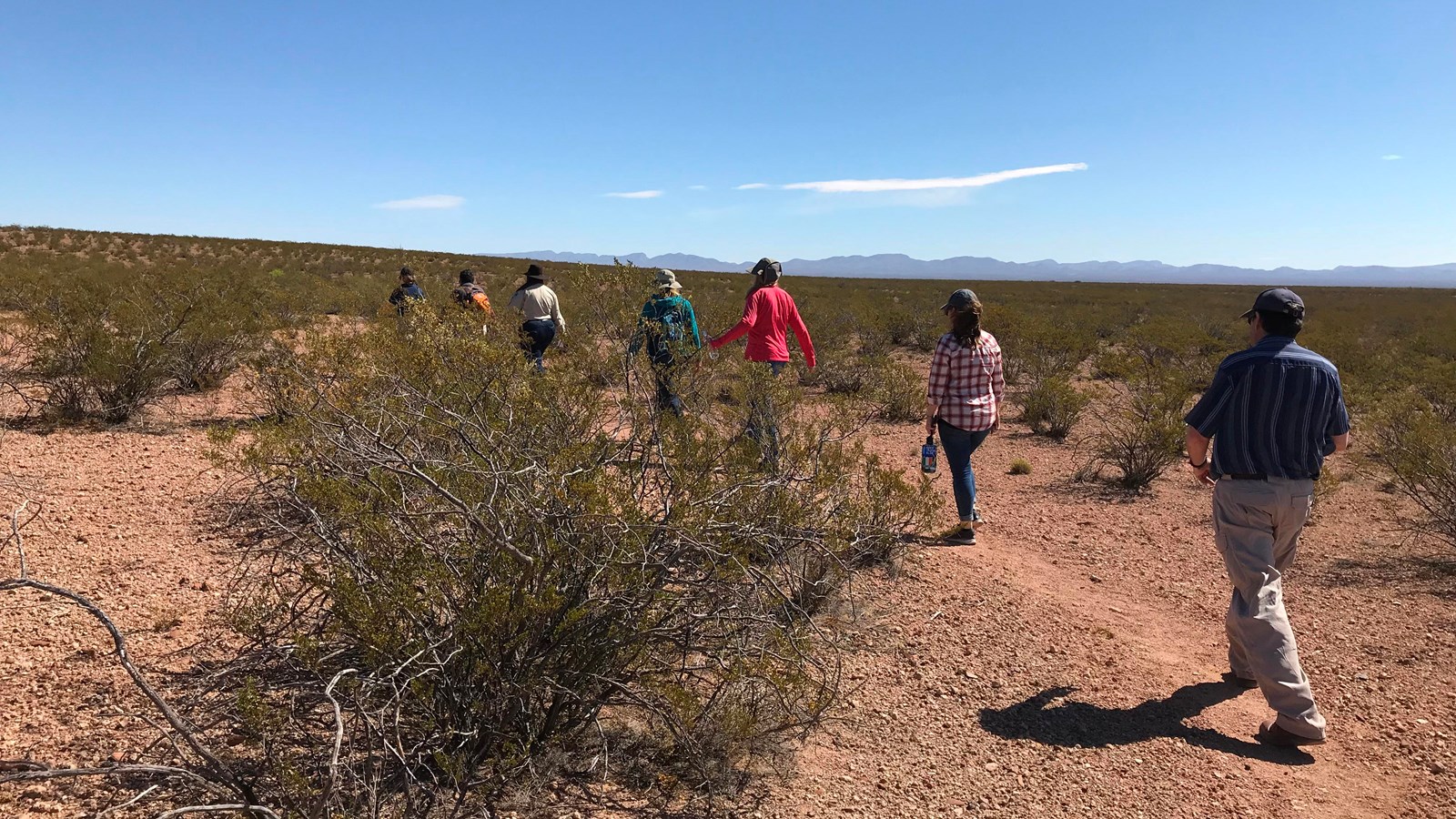 People walking on a trail in the desert.
