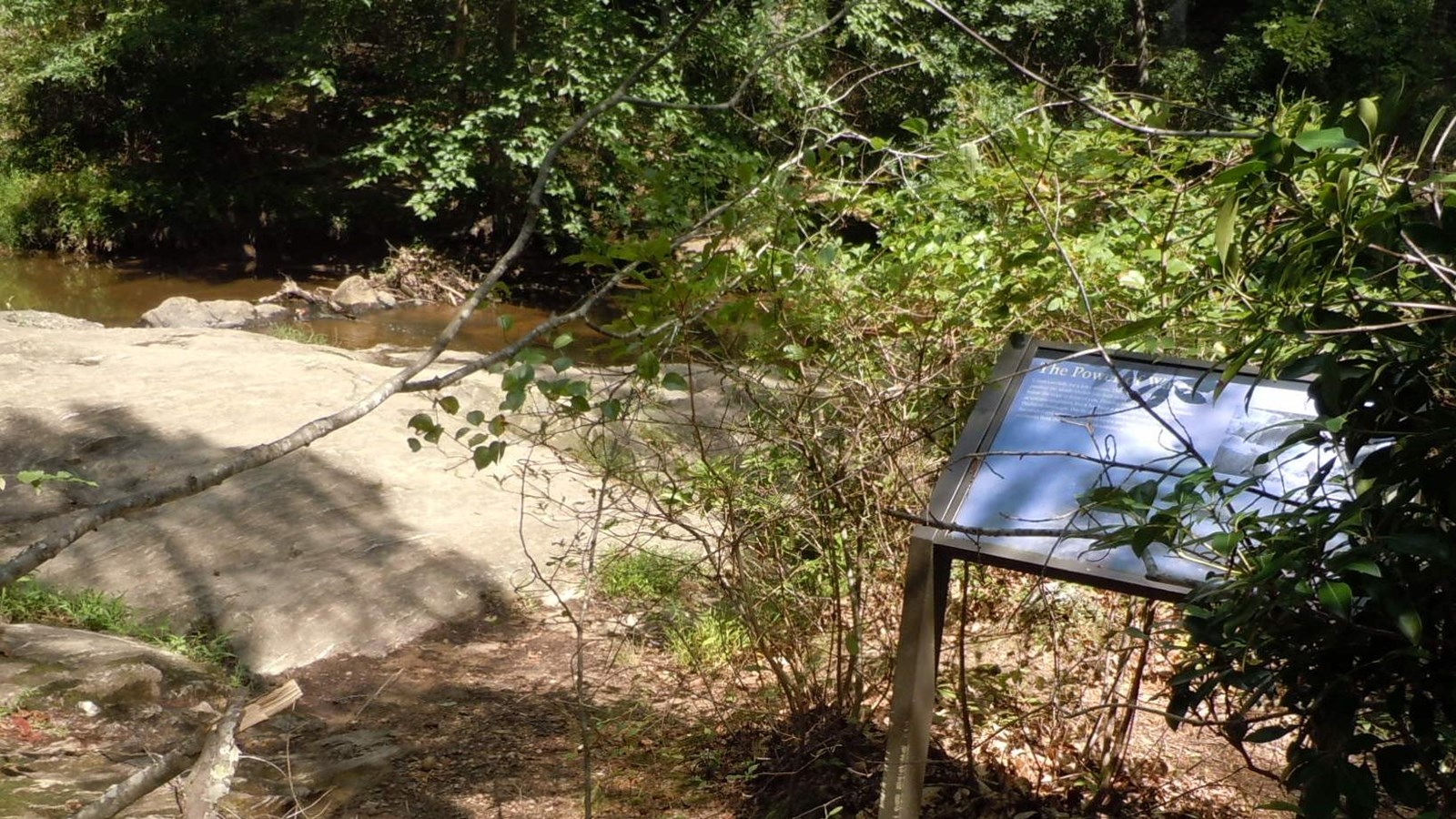 Sign partially covered in green shrubs at the edge of a rock overlooking a creek in the forest